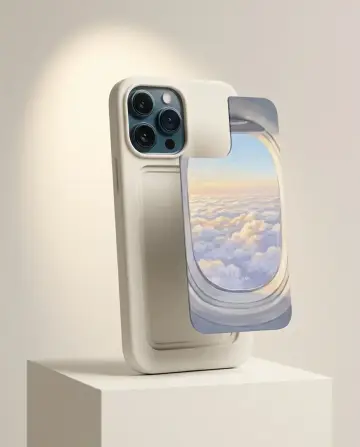 Window Seat Case, second view